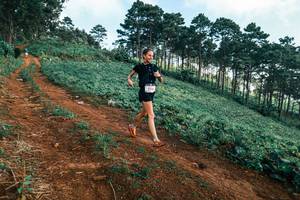 BIB: 
                            <button type="button" onclick="openModal(25290222)" class="btn btn-primary btn-sm float-right btn-popup" data-toggle="modal" data-target=".modal-high-quality">
                        <i class="fas fa-shopping-cart"></i> Add to Cart
                    </button>
                                            <button type="button" onclick="isThisMe(25290222, true)" class="btn btn-success btn-sm float-right btn-popup btn-isme hidden" data-toggle="tooltip" data-placement="bottom" title="นี่คือรูปของคุณใช่ไหม คลิกที่นี่เพื่อเอาเข้าอัลบั้ม">
                        <i class="fas fa-plus"></i> Add to album
                    </button>
                    <button type="button" onclick="isThisMe(25290222, false)" class="btn btn-warning btn-sm float-right btn-popup btn-isnotme hidden">
                        <i class="fas fa-ban"></i> Remove from album
                    </button>