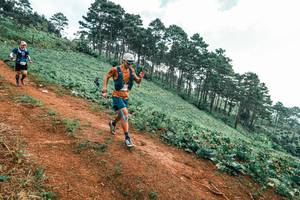 BIB: 
                            <button type="button" onclick="openModal(25431498)" class="btn btn-primary btn-sm float-right btn-popup" data-toggle="modal" data-target=".modal-high-quality">
                        <i class="fas fa-shopping-cart"></i> Add to Cart
                    </button>
                                            <button type="button" onclick="isThisMe(25431498, true)" class="btn btn-success btn-sm float-right btn-popup btn-isme hidden" data-toggle="tooltip" data-placement="bottom" title="นี่คือรูปของคุณใช่ไหม คลิกที่นี่เพื่อเอาเข้าอัลบั้ม">
                        <i class="fas fa-plus"></i> Add to album
                    </button>
                    <button type="button" onclick="isThisMe(25431498, false)" class="btn btn-warning btn-sm float-right btn-popup btn-isnotme hidden">
                        <i class="fas fa-ban"></i> Remove from album
                    </button>