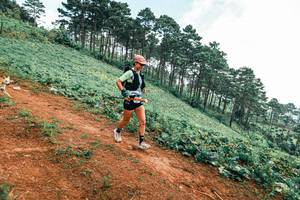 BIB: 
                            <button type="button" onclick="openModal(25299575)" class="btn btn-primary btn-sm float-right btn-popup" data-toggle="modal" data-target=".modal-high-quality">
                        <i class="fas fa-shopping-cart"></i> Add to Cart
                    </button>
                                            <button type="button" onclick="isThisMe(25299575, true)" class="btn btn-success btn-sm float-right btn-popup btn-isme hidden" data-toggle="tooltip" data-placement="bottom" title="นี่คือรูปของคุณใช่ไหม คลิกที่นี่เพื่อเอาเข้าอัลบั้ม">
                        <i class="fas fa-plus"></i> Add to album
                    </button>
                    <button type="button" onclick="isThisMe(25299575, false)" class="btn btn-warning btn-sm float-right btn-popup btn-isnotme hidden">
                        <i class="fas fa-ban"></i> Remove from album
                    </button>