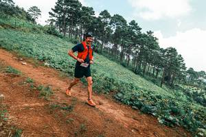 BIB: 
                            <button type="button" onclick="openModal(25452930)" class="btn btn-primary btn-sm float-right btn-popup" data-toggle="modal" data-target=".modal-high-quality">
                        <i class="fas fa-shopping-cart"></i> Add to Cart
                    </button>
                                            <button type="button" onclick="isThisMe(25452930, true)" class="btn btn-success btn-sm float-right btn-popup btn-isme hidden" data-toggle="tooltip" data-placement="bottom" title="นี่คือรูปของคุณใช่ไหม คลิกที่นี่เพื่อเอาเข้าอัลบั้ม">
                        <i class="fas fa-plus"></i> Add to album
                    </button>
                    <button type="button" onclick="isThisMe(25452930, false)" class="btn btn-warning btn-sm float-right btn-popup btn-isnotme hidden">
                        <i class="fas fa-ban"></i> Remove from album
                    </button>