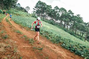 BIB: 
                            <button type="button" onclick="openModal(25323368)" class="btn btn-primary btn-sm float-right btn-popup" data-toggle="modal" data-target=".modal-high-quality">
                        <i class="fas fa-shopping-cart"></i> Add to Cart
                    </button>
                                            <button type="button" onclick="isThisMe(25323368, true)" class="btn btn-success btn-sm float-right btn-popup btn-isme hidden" data-toggle="tooltip" data-placement="bottom" title="นี่คือรูปของคุณใช่ไหม คลิกที่นี่เพื่อเอาเข้าอัลบั้ม">
                        <i class="fas fa-plus"></i> Add to album
                    </button>
                    <button type="button" onclick="isThisMe(25323368, false)" class="btn btn-warning btn-sm float-right btn-popup btn-isnotme hidden">
                        <i class="fas fa-ban"></i> Remove from album
                    </button>