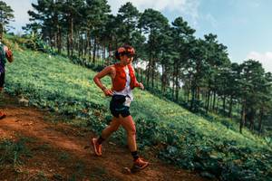 BIB: 
                            <button type="button" onclick="openModal(25289327)" class="btn btn-primary btn-sm float-right btn-popup" data-toggle="modal" data-target=".modal-high-quality">
                        <i class="fas fa-shopping-cart"></i> Add to Cart
                    </button>
                                            <button type="button" onclick="isThisMe(25289327, true)" class="btn btn-success btn-sm float-right btn-popup btn-isme hidden" data-toggle="tooltip" data-placement="bottom" title="นี่คือรูปของคุณใช่ไหม คลิกที่นี่เพื่อเอาเข้าอัลบั้ม">
                        <i class="fas fa-plus"></i> Add to album
                    </button>
                    <button type="button" onclick="isThisMe(25289327, false)" class="btn btn-warning btn-sm float-right btn-popup btn-isnotme hidden">
                        <i class="fas fa-ban"></i> Remove from album
                    </button>