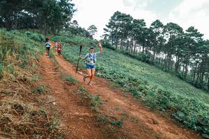 BIB: 
                            <button type="button" onclick="openModal(25323090)" class="btn btn-primary btn-sm float-right btn-popup" data-toggle="modal" data-target=".modal-high-quality">
                        <i class="fas fa-shopping-cart"></i> Add to Cart
                    </button>
                                            <button type="button" onclick="isThisMe(25323090, true)" class="btn btn-success btn-sm float-right btn-popup btn-isme hidden" data-toggle="tooltip" data-placement="bottom" title="นี่คือรูปของคุณใช่ไหม คลิกที่นี่เพื่อเอาเข้าอัลบั้ม">
                        <i class="fas fa-plus"></i> Add to album
                    </button>
                    <button type="button" onclick="isThisMe(25323090, false)" class="btn btn-warning btn-sm float-right btn-popup btn-isnotme hidden">
                        <i class="fas fa-ban"></i> Remove from album
                    </button>