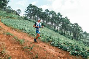 BIB: 
                            <button type="button" onclick="openModal(25300415)" class="btn btn-primary btn-sm float-right btn-popup" data-toggle="modal" data-target=".modal-high-quality">
                        <i class="fas fa-shopping-cart"></i> Add to Cart
                    </button>
                                            <button type="button" onclick="isThisMe(25300415, true)" class="btn btn-success btn-sm float-right btn-popup btn-isme hidden" data-toggle="tooltip" data-placement="bottom" title="นี่คือรูปของคุณใช่ไหม คลิกที่นี่เพื่อเอาเข้าอัลบั้ม">
                        <i class="fas fa-plus"></i> Add to album
                    </button>
                    <button type="button" onclick="isThisMe(25300415, false)" class="btn btn-warning btn-sm float-right btn-popup btn-isnotme hidden">
                        <i class="fas fa-ban"></i> Remove from album
                    </button>