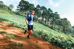 BIB: 
                            <button type="button" onclick="openModal(25289515)" class="btn btn-primary btn-sm float-right btn-popup" data-toggle="modal" data-target=".modal-high-quality">
                        <i class="fas fa-shopping-cart"></i> Add to Cart
                    </button>
                                            <button type="button" onclick="isThisMe(25289515, true)" class="btn btn-success btn-sm float-right btn-popup btn-isme hidden" data-toggle="tooltip" data-placement="bottom" title="นี่คือรูปของคุณใช่ไหม คลิกที่นี่เพื่อเอาเข้าอัลบั้ม">
                        <i class="fas fa-plus"></i> Add to album
                    </button>
                    <button type="button" onclick="isThisMe(25289515, false)" class="btn btn-warning btn-sm float-right btn-popup btn-isnotme hidden">
                        <i class="fas fa-ban"></i> Remove from album
                    </button>