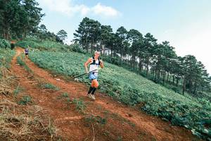 BIB: 
                            <button type="button" onclick="openModal(25291493)" class="btn btn-primary btn-sm float-right btn-popup" data-toggle="modal" data-target=".modal-high-quality">
                        <i class="fas fa-shopping-cart"></i> Add to Cart
                    </button>
                                            <button type="button" onclick="isThisMe(25291493, true)" class="btn btn-success btn-sm float-right btn-popup btn-isme hidden" data-toggle="tooltip" data-placement="bottom" title="นี่คือรูปของคุณใช่ไหม คลิกที่นี่เพื่อเอาเข้าอัลบั้ม">
                        <i class="fas fa-plus"></i> Add to album
                    </button>
                    <button type="button" onclick="isThisMe(25291493, false)" class="btn btn-warning btn-sm float-right btn-popup btn-isnotme hidden">
                        <i class="fas fa-ban"></i> Remove from album
                    </button>