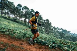 BIB: 
                            <button type="button" onclick="openModal(25287764)" class="btn btn-primary btn-sm float-right btn-popup" data-toggle="modal" data-target=".modal-high-quality">
                        <i class="fas fa-shopping-cart"></i> Add to Cart
                    </button>
                                            <button type="button" onclick="isThisMe(25287764, true)" class="btn btn-success btn-sm float-right btn-popup btn-isme hidden" data-toggle="tooltip" data-placement="bottom" title="นี่คือรูปของคุณใช่ไหม คลิกที่นี่เพื่อเอาเข้าอัลบั้ม">
                        <i class="fas fa-plus"></i> Add to album
                    </button>
                    <button type="button" onclick="isThisMe(25287764, false)" class="btn btn-warning btn-sm float-right btn-popup btn-isnotme hidden">
                        <i class="fas fa-ban"></i> Remove from album
                    </button>