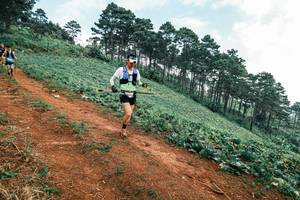 BIB: 
                            <button type="button" onclick="openModal(25298077)" class="btn btn-primary btn-sm float-right btn-popup" data-toggle="modal" data-target=".modal-high-quality">
                        <i class="fas fa-shopping-cart"></i> Add to Cart
                    </button>
                                            <button type="button" onclick="isThisMe(25298077, true)" class="btn btn-success btn-sm float-right btn-popup btn-isme hidden" data-toggle="tooltip" data-placement="bottom" title="นี่คือรูปของคุณใช่ไหม คลิกที่นี่เพื่อเอาเข้าอัลบั้ม">
                        <i class="fas fa-plus"></i> Add to album
                    </button>
                    <button type="button" onclick="isThisMe(25298077, false)" class="btn btn-warning btn-sm float-right btn-popup btn-isnotme hidden">
                        <i class="fas fa-ban"></i> Remove from album
                    </button>