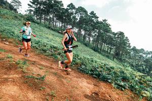 BIB: 
                            <button type="button" onclick="openModal(25298783)" class="btn btn-primary btn-sm float-right btn-popup" data-toggle="modal" data-target=".modal-high-quality">
                        <i class="fas fa-shopping-cart"></i> Add to Cart
                    </button>
                                            <button type="button" onclick="isThisMe(25298783, true)" class="btn btn-success btn-sm float-right btn-popup btn-isme hidden" data-toggle="tooltip" data-placement="bottom" title="นี่คือรูปของคุณใช่ไหม คลิกที่นี่เพื่อเอาเข้าอัลบั้ม">
                        <i class="fas fa-plus"></i> Add to album
                    </button>
                    <button type="button" onclick="isThisMe(25298783, false)" class="btn btn-warning btn-sm float-right btn-popup btn-isnotme hidden">
                        <i class="fas fa-ban"></i> Remove from album
                    </button>