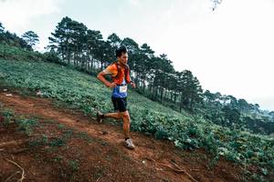 BIB: 
                            <button type="button" onclick="openModal(25288570)" class="btn btn-primary btn-sm float-right btn-popup" data-toggle="modal" data-target=".modal-high-quality">
                        <i class="fas fa-shopping-cart"></i> Add to Cart
                    </button>
                                            <button type="button" onclick="isThisMe(25288570, true)" class="btn btn-success btn-sm float-right btn-popup btn-isme hidden" data-toggle="tooltip" data-placement="bottom" title="นี่คือรูปของคุณใช่ไหม คลิกที่นี่เพื่อเอาเข้าอัลบั้ม">
                        <i class="fas fa-plus"></i> Add to album
                    </button>
                    <button type="button" onclick="isThisMe(25288570, false)" class="btn btn-warning btn-sm float-right btn-popup btn-isnotme hidden">
                        <i class="fas fa-ban"></i> Remove from album
                    </button>