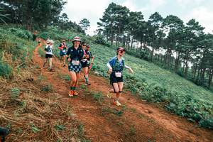 BIB: 
                            <button type="button" onclick="openModal(25300119)" class="btn btn-primary btn-sm float-right btn-popup" data-toggle="modal" data-target=".modal-high-quality">
                        <i class="fas fa-shopping-cart"></i> Add to Cart
                    </button>
                                            <button type="button" onclick="isThisMe(25300119, true)" class="btn btn-success btn-sm float-right btn-popup btn-isme hidden" data-toggle="tooltip" data-placement="bottom" title="นี่คือรูปของคุณใช่ไหม คลิกที่นี่เพื่อเอาเข้าอัลบั้ม">
                        <i class="fas fa-plus"></i> Add to album
                    </button>
                    <button type="button" onclick="isThisMe(25300119, false)" class="btn btn-warning btn-sm float-right btn-popup btn-isnotme hidden">
                        <i class="fas fa-ban"></i> Remove from album
                    </button>