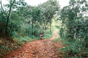 BIB: 
                            <button type="button" onclick="openModal(25287194)" class="btn btn-primary btn-sm float-right btn-popup" data-toggle="modal" data-target=".modal-high-quality">
                        <i class="fas fa-shopping-cart"></i> Add to Cart
                    </button>
                                            <button type="button" onclick="isThisMe(25287194, true)" class="btn btn-success btn-sm float-right btn-popup btn-isme hidden" data-toggle="tooltip" data-placement="bottom" title="นี่คือรูปของคุณใช่ไหม คลิกที่นี่เพื่อเอาเข้าอัลบั้ม">
                        <i class="fas fa-plus"></i> Add to album
                    </button>
                    <button type="button" onclick="isThisMe(25287194, false)" class="btn btn-warning btn-sm float-right btn-popup btn-isnotme hidden">
                        <i class="fas fa-ban"></i> Remove from album
                    </button>