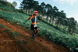 BIB: 
                            <button type="button" onclick="openModal(25290037)" class="btn btn-primary btn-sm float-right btn-popup" data-toggle="modal" data-target=".modal-high-quality">
                        <i class="fas fa-shopping-cart"></i> Add to Cart
                    </button>
                                            <button type="button" onclick="isThisMe(25290037, true)" class="btn btn-success btn-sm float-right btn-popup btn-isme hidden" data-toggle="tooltip" data-placement="bottom" title="นี่คือรูปของคุณใช่ไหม คลิกที่นี่เพื่อเอาเข้าอัลบั้ม">
                        <i class="fas fa-plus"></i> Add to album
                    </button>
                    <button type="button" onclick="isThisMe(25290037, false)" class="btn btn-warning btn-sm float-right btn-popup btn-isnotme hidden">
                        <i class="fas fa-ban"></i> Remove from album
                    </button>