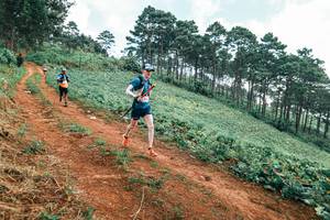 BIB: 
                            <button type="button" onclick="openModal(25297999)" class="btn btn-primary btn-sm float-right btn-popup" data-toggle="modal" data-target=".modal-high-quality">
                        <i class="fas fa-shopping-cart"></i> Add to Cart
                    </button>
                                            <button type="button" onclick="isThisMe(25297999, true)" class="btn btn-success btn-sm float-right btn-popup btn-isme hidden" data-toggle="tooltip" data-placement="bottom" title="นี่คือรูปของคุณใช่ไหม คลิกที่นี่เพื่อเอาเข้าอัลบั้ม">
                        <i class="fas fa-plus"></i> Add to album
                    </button>
                    <button type="button" onclick="isThisMe(25297999, false)" class="btn btn-warning btn-sm float-right btn-popup btn-isnotme hidden">
                        <i class="fas fa-ban"></i> Remove from album
                    </button>