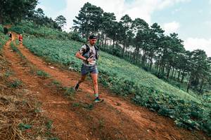 BIB: 
                            <button type="button" onclick="openModal(25297847)" class="btn btn-primary btn-sm float-right btn-popup" data-toggle="modal" data-target=".modal-high-quality">
                        <i class="fas fa-shopping-cart"></i> Add to Cart
                    </button>
                                            <button type="button" onclick="isThisMe(25297847, true)" class="btn btn-success btn-sm float-right btn-popup btn-isme hidden" data-toggle="tooltip" data-placement="bottom" title="นี่คือรูปของคุณใช่ไหม คลิกที่นี่เพื่อเอาเข้าอัลบั้ม">
                        <i class="fas fa-plus"></i> Add to album
                    </button>
                    <button type="button" onclick="isThisMe(25297847, false)" class="btn btn-warning btn-sm float-right btn-popup btn-isnotme hidden">
                        <i class="fas fa-ban"></i> Remove from album
                    </button>