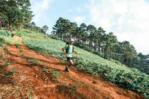 BIB: 
                            <button type="button" onclick="openModal(25287896)" class="btn btn-primary btn-sm float-right btn-popup" data-toggle="modal" data-target=".modal-high-quality">
                        <i class="fas fa-shopping-cart"></i> Add to Cart
                    </button>
                                            <button type="button" onclick="isThisMe(25287896, true)" class="btn btn-success btn-sm float-right btn-popup btn-isme hidden" data-toggle="tooltip" data-placement="bottom" title="นี่คือรูปของคุณใช่ไหม คลิกที่นี่เพื่อเอาเข้าอัลบั้ม">
                        <i class="fas fa-plus"></i> Add to album
                    </button>
                    <button type="button" onclick="isThisMe(25287896, false)" class="btn btn-warning btn-sm float-right btn-popup btn-isnotme hidden">
                        <i class="fas fa-ban"></i> Remove from album
                    </button>