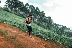 BIB: 
                            <button type="button" onclick="openModal(25452294)" class="btn btn-primary btn-sm float-right btn-popup" data-toggle="modal" data-target=".modal-high-quality">
                        <i class="fas fa-shopping-cart"></i> Add to Cart
                    </button>
                                            <button type="button" onclick="isThisMe(25452294, true)" class="btn btn-success btn-sm float-right btn-popup btn-isme hidden" data-toggle="tooltip" data-placement="bottom" title="นี่คือรูปของคุณใช่ไหม คลิกที่นี่เพื่อเอาเข้าอัลบั้ม">
                        <i class="fas fa-plus"></i> Add to album
                    </button>
                    <button type="button" onclick="isThisMe(25452294, false)" class="btn btn-warning btn-sm float-right btn-popup btn-isnotme hidden">
                        <i class="fas fa-ban"></i> Remove from album
                    </button>