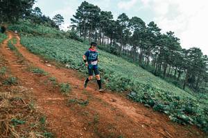 BIB: 
                            <button type="button" onclick="openModal(25298149)" class="btn btn-primary btn-sm float-right btn-popup" data-toggle="modal" data-target=".modal-high-quality">
                        <i class="fas fa-shopping-cart"></i> Add to Cart
                    </button>
                                            <button type="button" onclick="isThisMe(25298149, true)" class="btn btn-success btn-sm float-right btn-popup btn-isme hidden" data-toggle="tooltip" data-placement="bottom" title="นี่คือรูปของคุณใช่ไหม คลิกที่นี่เพื่อเอาเข้าอัลบั้ม">
                        <i class="fas fa-plus"></i> Add to album
                    </button>
                    <button type="button" onclick="isThisMe(25298149, false)" class="btn btn-warning btn-sm float-right btn-popup btn-isnotme hidden">
                        <i class="fas fa-ban"></i> Remove from album
                    </button>