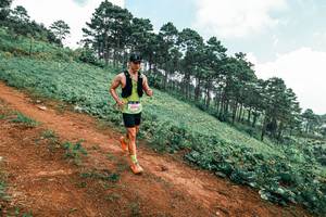 BIB: 
                            <button type="button" onclick="openModal(25453050)" class="btn btn-primary btn-sm float-right btn-popup" data-toggle="modal" data-target=".modal-high-quality">
                        <i class="fas fa-shopping-cart"></i> Add to Cart
                    </button>
                                            <button type="button" onclick="isThisMe(25453050, true)" class="btn btn-success btn-sm float-right btn-popup btn-isme hidden" data-toggle="tooltip" data-placement="bottom" title="นี่คือรูปของคุณใช่ไหม คลิกที่นี่เพื่อเอาเข้าอัลบั้ม">
                        <i class="fas fa-plus"></i> Add to album
                    </button>
                    <button type="button" onclick="isThisMe(25453050, false)" class="btn btn-warning btn-sm float-right btn-popup btn-isnotme hidden">
                        <i class="fas fa-ban"></i> Remove from album
                    </button>