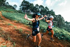 BIB: 
                            <button type="button" onclick="openModal(25290362)" class="btn btn-primary btn-sm float-right btn-popup" data-toggle="modal" data-target=".modal-high-quality">
                        <i class="fas fa-shopping-cart"></i> Add to Cart
                    </button>
                                            <button type="button" onclick="isThisMe(25290362, true)" class="btn btn-success btn-sm float-right btn-popup btn-isme hidden" data-toggle="tooltip" data-placement="bottom" title="นี่คือรูปของคุณใช่ไหม คลิกที่นี่เพื่อเอาเข้าอัลบั้ม">
                        <i class="fas fa-plus"></i> Add to album
                    </button>
                    <button type="button" onclick="isThisMe(25290362, false)" class="btn btn-warning btn-sm float-right btn-popup btn-isnotme hidden">
                        <i class="fas fa-ban"></i> Remove from album
                    </button>