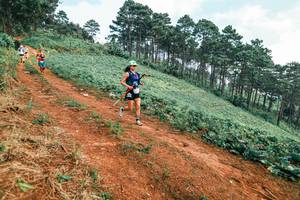 BIB: 
                            <button type="button" onclick="openModal(25436106)" class="btn btn-primary btn-sm float-right btn-popup" data-toggle="modal" data-target=".modal-high-quality">
                        <i class="fas fa-shopping-cart"></i> Add to Cart
                    </button>
                                            <button type="button" onclick="isThisMe(25436106, true)" class="btn btn-success btn-sm float-right btn-popup btn-isme hidden" data-toggle="tooltip" data-placement="bottom" title="นี่คือรูปของคุณใช่ไหม คลิกที่นี่เพื่อเอาเข้าอัลบั้ม">
                        <i class="fas fa-plus"></i> Add to album
                    </button>
                    <button type="button" onclick="isThisMe(25436106, false)" class="btn btn-warning btn-sm float-right btn-popup btn-isnotme hidden">
                        <i class="fas fa-ban"></i> Remove from album
                    </button>