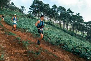 BIB: 
                            <button type="button" onclick="openModal(25290124)" class="btn btn-primary btn-sm float-right btn-popup" data-toggle="modal" data-target=".modal-high-quality">
                        <i class="fas fa-shopping-cart"></i> Add to Cart
                    </button>
                                            <button type="button" onclick="isThisMe(25290124, true)" class="btn btn-success btn-sm float-right btn-popup btn-isme hidden" data-toggle="tooltip" data-placement="bottom" title="นี่คือรูปของคุณใช่ไหม คลิกที่นี่เพื่อเอาเข้าอัลบั้ม">
                        <i class="fas fa-plus"></i> Add to album
                    </button>
                    <button type="button" onclick="isThisMe(25290124, false)" class="btn btn-warning btn-sm float-right btn-popup btn-isnotme hidden">
                        <i class="fas fa-ban"></i> Remove from album
                    </button>