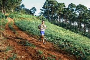 BIB: 
                            <button type="button" onclick="openModal(25287540)" class="btn btn-primary btn-sm float-right btn-popup" data-toggle="modal" data-target=".modal-high-quality">
                        <i class="fas fa-shopping-cart"></i> Add to Cart
                    </button>
                                            <button type="button" onclick="isThisMe(25287540, true)" class="btn btn-success btn-sm float-right btn-popup btn-isme hidden" data-toggle="tooltip" data-placement="bottom" title="นี่คือรูปของคุณใช่ไหม คลิกที่นี่เพื่อเอาเข้าอัลบั้ม">
                        <i class="fas fa-plus"></i> Add to album
                    </button>
                    <button type="button" onclick="isThisMe(25287540, false)" class="btn btn-warning btn-sm float-right btn-popup btn-isnotme hidden">
                        <i class="fas fa-ban"></i> Remove from album
                    </button>