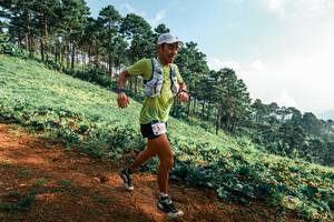 BIB: 
                            <button type="button" onclick="openModal(25289817)" class="btn btn-primary btn-sm float-right btn-popup" data-toggle="modal" data-target=".modal-high-quality">
                        <i class="fas fa-shopping-cart"></i> Add to Cart
                    </button>
                                            <button type="button" onclick="isThisMe(25289817, true)" class="btn btn-success btn-sm float-right btn-popup btn-isme hidden" data-toggle="tooltip" data-placement="bottom" title="นี่คือรูปของคุณใช่ไหม คลิกที่นี่เพื่อเอาเข้าอัลบั้ม">
                        <i class="fas fa-plus"></i> Add to album
                    </button>
                    <button type="button" onclick="isThisMe(25289817, false)" class="btn btn-warning btn-sm float-right btn-popup btn-isnotme hidden">
                        <i class="fas fa-ban"></i> Remove from album
                    </button>