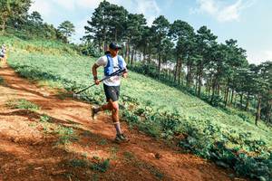 BIB: 
                            <button type="button" onclick="openModal(25289540)" class="btn btn-primary btn-sm float-right btn-popup" data-toggle="modal" data-target=".modal-high-quality">
                        <i class="fas fa-shopping-cart"></i> Add to Cart
                    </button>
                                            <button type="button" onclick="isThisMe(25289540, true)" class="btn btn-success btn-sm float-right btn-popup btn-isme hidden" data-toggle="tooltip" data-placement="bottom" title="นี่คือรูปของคุณใช่ไหม คลิกที่นี่เพื่อเอาเข้าอัลบั้ม">
                        <i class="fas fa-plus"></i> Add to album
                    </button>
                    <button type="button" onclick="isThisMe(25289540, false)" class="btn btn-warning btn-sm float-right btn-popup btn-isnotme hidden">
                        <i class="fas fa-ban"></i> Remove from album
                    </button>