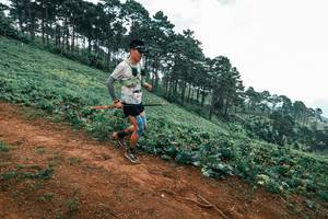 BIB: 
                            <button type="button" onclick="openModal(25324030)" class="btn btn-primary btn-sm float-right btn-popup" data-toggle="modal" data-target=".modal-high-quality">
                        <i class="fas fa-shopping-cart"></i> Add to Cart
                    </button>
                                            <button type="button" onclick="isThisMe(25324030, true)" class="btn btn-success btn-sm float-right btn-popup btn-isme hidden" data-toggle="tooltip" data-placement="bottom" title="นี่คือรูปของคุณใช่ไหม คลิกที่นี่เพื่อเอาเข้าอัลบั้ม">
                        <i class="fas fa-plus"></i> Add to album
                    </button>
                    <button type="button" onclick="isThisMe(25324030, false)" class="btn btn-warning btn-sm float-right btn-popup btn-isnotme hidden">
                        <i class="fas fa-ban"></i> Remove from album
                    </button>