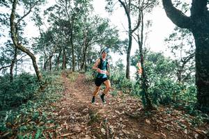 BIB: 
                            <button type="button" onclick="openModal(25287066)" class="btn btn-primary btn-sm float-right btn-popup" data-toggle="modal" data-target=".modal-high-quality">
                        <i class="fas fa-shopping-cart"></i> Add to Cart
                    </button>
                                            <button type="button" onclick="isThisMe(25287066, true)" class="btn btn-success btn-sm float-right btn-popup btn-isme hidden" data-toggle="tooltip" data-placement="bottom" title="นี่คือรูปของคุณใช่ไหม คลิกที่นี่เพื่อเอาเข้าอัลบั้ม">
                        <i class="fas fa-plus"></i> Add to album
                    </button>
                    <button type="button" onclick="isThisMe(25287066, false)" class="btn btn-warning btn-sm float-right btn-popup btn-isnotme hidden">
                        <i class="fas fa-ban"></i> Remove from album
                    </button>