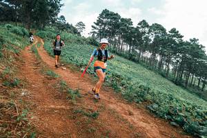 BIB: 
                            <button type="button" onclick="openModal(25322694)" class="btn btn-primary btn-sm float-right btn-popup" data-toggle="modal" data-target=".modal-high-quality">
                        <i class="fas fa-shopping-cart"></i> Add to Cart
                    </button>
                                            <button type="button" onclick="isThisMe(25322694, true)" class="btn btn-success btn-sm float-right btn-popup btn-isme hidden" data-toggle="tooltip" data-placement="bottom" title="นี่คือรูปของคุณใช่ไหม คลิกที่นี่เพื่อเอาเข้าอัลบั้ม">
                        <i class="fas fa-plus"></i> Add to album
                    </button>
                    <button type="button" onclick="isThisMe(25322694, false)" class="btn btn-warning btn-sm float-right btn-popup btn-isnotme hidden">
                        <i class="fas fa-ban"></i> Remove from album
                    </button>