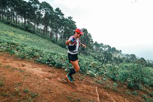 BIB: 
                            <button type="button" onclick="openModal(25300496)" class="btn btn-primary btn-sm float-right btn-popup" data-toggle="modal" data-target=".modal-high-quality">
                        <i class="fas fa-shopping-cart"></i> Add to Cart
                    </button>
                                            <button type="button" onclick="isThisMe(25300496, true)" class="btn btn-success btn-sm float-right btn-popup btn-isme hidden" data-toggle="tooltip" data-placement="bottom" title="นี่คือรูปของคุณใช่ไหม คลิกที่นี่เพื่อเอาเข้าอัลบั้ม">
                        <i class="fas fa-plus"></i> Add to album
                    </button>
                    <button type="button" onclick="isThisMe(25300496, false)" class="btn btn-warning btn-sm float-right btn-popup btn-isnotme hidden">
                        <i class="fas fa-ban"></i> Remove from album
                    </button>