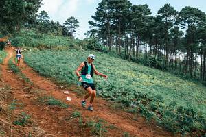 BIB: 
                            <button type="button" onclick="openModal(25293086)" class="btn btn-primary btn-sm float-right btn-popup" data-toggle="modal" data-target=".modal-high-quality">
                        <i class="fas fa-shopping-cart"></i> Add to Cart
                    </button>
                                            <button type="button" onclick="isThisMe(25293086, true)" class="btn btn-success btn-sm float-right btn-popup btn-isme hidden" data-toggle="tooltip" data-placement="bottom" title="นี่คือรูปของคุณใช่ไหม คลิกที่นี่เพื่อเอาเข้าอัลบั้ม">
                        <i class="fas fa-plus"></i> Add to album
                    </button>
                    <button type="button" onclick="isThisMe(25293086, false)" class="btn btn-warning btn-sm float-right btn-popup btn-isnotme hidden">
                        <i class="fas fa-ban"></i> Remove from album
                    </button>