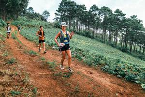 BIB: 
                            <button type="button" onclick="openModal(25299960)" class="btn btn-primary btn-sm float-right btn-popup" data-toggle="modal" data-target=".modal-high-quality">
                        <i class="fas fa-shopping-cart"></i> Add to Cart
                    </button>
                                            <button type="button" onclick="isThisMe(25299960, true)" class="btn btn-success btn-sm float-right btn-popup btn-isme hidden" data-toggle="tooltip" data-placement="bottom" title="นี่คือรูปของคุณใช่ไหม คลิกที่นี่เพื่อเอาเข้าอัลบั้ม">
                        <i class="fas fa-plus"></i> Add to album
                    </button>
                    <button type="button" onclick="isThisMe(25299960, false)" class="btn btn-warning btn-sm float-right btn-popup btn-isnotme hidden">
                        <i class="fas fa-ban"></i> Remove from album
                    </button>