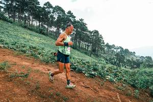 BIB: 
                            <button type="button" onclick="openModal(25432402)" class="btn btn-primary btn-sm float-right btn-popup" data-toggle="modal" data-target=".modal-high-quality">
                        <i class="fas fa-shopping-cart"></i> Add to Cart
                    </button>
                                            <button type="button" onclick="isThisMe(25432402, true)" class="btn btn-success btn-sm float-right btn-popup btn-isme hidden" data-toggle="tooltip" data-placement="bottom" title="นี่คือรูปของคุณใช่ไหม คลิกที่นี่เพื่อเอาเข้าอัลบั้ม">
                        <i class="fas fa-plus"></i> Add to album
                    </button>
                    <button type="button" onclick="isThisMe(25432402, false)" class="btn btn-warning btn-sm float-right btn-popup btn-isnotme hidden">
                        <i class="fas fa-ban"></i> Remove from album
                    </button>