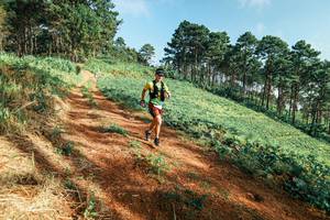 BIB: 
                            <button type="button" onclick="openModal(25290462)" class="btn btn-primary btn-sm float-right btn-popup" data-toggle="modal" data-target=".modal-high-quality">
                        <i class="fas fa-shopping-cart"></i> Add to Cart
                    </button>
                                            <button type="button" onclick="isThisMe(25290462, true)" class="btn btn-success btn-sm float-right btn-popup btn-isme hidden" data-toggle="tooltip" data-placement="bottom" title="นี่คือรูปของคุณใช่ไหม คลิกที่นี่เพื่อเอาเข้าอัลบั้ม">
                        <i class="fas fa-plus"></i> Add to album
                    </button>
                    <button type="button" onclick="isThisMe(25290462, false)" class="btn btn-warning btn-sm float-right btn-popup btn-isnotme hidden">
                        <i class="fas fa-ban"></i> Remove from album
                    </button>