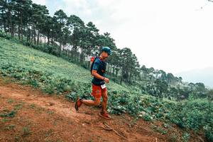 BIB: 
                            <button type="button" onclick="openModal(25300311)" class="btn btn-primary btn-sm float-right btn-popup" data-toggle="modal" data-target=".modal-high-quality">
                        <i class="fas fa-shopping-cart"></i> Add to Cart
                    </button>
                                            <button type="button" onclick="isThisMe(25300311, true)" class="btn btn-success btn-sm float-right btn-popup btn-isme hidden" data-toggle="tooltip" data-placement="bottom" title="นี่คือรูปของคุณใช่ไหม คลิกที่นี่เพื่อเอาเข้าอัลบั้ม">
                        <i class="fas fa-plus"></i> Add to album
                    </button>
                    <button type="button" onclick="isThisMe(25300311, false)" class="btn btn-warning btn-sm float-right btn-popup btn-isnotme hidden">
                        <i class="fas fa-ban"></i> Remove from album
                    </button>