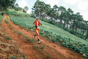 BIB: 
                            <button type="button" onclick="openModal(25298651)" class="btn btn-primary btn-sm float-right btn-popup" data-toggle="modal" data-target=".modal-high-quality">
                        <i class="fas fa-shopping-cart"></i> Add to Cart
                    </button>
                                            <button type="button" onclick="isThisMe(25298651, true)" class="btn btn-success btn-sm float-right btn-popup btn-isme hidden" data-toggle="tooltip" data-placement="bottom" title="นี่คือรูปของคุณใช่ไหม คลิกที่นี่เพื่อเอาเข้าอัลบั้ม">
                        <i class="fas fa-plus"></i> Add to album
                    </button>
                    <button type="button" onclick="isThisMe(25298651, false)" class="btn btn-warning btn-sm float-right btn-popup btn-isnotme hidden">
                        <i class="fas fa-ban"></i> Remove from album
                    </button>