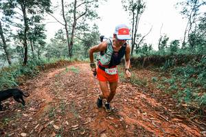 BIB: 
                            <button type="button" onclick="openModal(25287158)" class="btn btn-primary btn-sm float-right btn-popup" data-toggle="modal" data-target=".modal-high-quality">
                        <i class="fas fa-shopping-cart"></i> Add to Cart
                    </button>
                                            <button type="button" onclick="isThisMe(25287158, true)" class="btn btn-success btn-sm float-right btn-popup btn-isme hidden" data-toggle="tooltip" data-placement="bottom" title="นี่คือรูปของคุณใช่ไหม คลิกที่นี่เพื่อเอาเข้าอัลบั้ม">
                        <i class="fas fa-plus"></i> Add to album
                    </button>
                    <button type="button" onclick="isThisMe(25287158, false)" class="btn btn-warning btn-sm float-right btn-popup btn-isnotme hidden">
                        <i class="fas fa-ban"></i> Remove from album
                    </button>