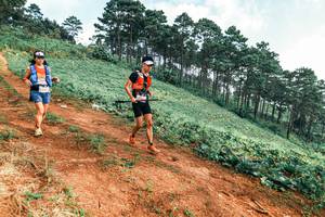 BIB: 
                            <button type="button" onclick="openModal(25298966)" class="btn btn-primary btn-sm float-right btn-popup" data-toggle="modal" data-target=".modal-high-quality">
                        <i class="fas fa-shopping-cart"></i> Add to Cart
                    </button>
                                            <button type="button" onclick="isThisMe(25298966, true)" class="btn btn-success btn-sm float-right btn-popup btn-isme hidden" data-toggle="tooltip" data-placement="bottom" title="นี่คือรูปของคุณใช่ไหม คลิกที่นี่เพื่อเอาเข้าอัลบั้ม">
                        <i class="fas fa-plus"></i> Add to album
                    </button>
                    <button type="button" onclick="isThisMe(25298966, false)" class="btn btn-warning btn-sm float-right btn-popup btn-isnotme hidden">
                        <i class="fas fa-ban"></i> Remove from album
                    </button>