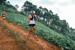 BIB: 
                            <button type="button" onclick="openModal(25322773)" class="btn btn-primary btn-sm float-right btn-popup" data-toggle="modal" data-target=".modal-high-quality">
                        <i class="fas fa-shopping-cart"></i> Add to Cart
                    </button>
                                            <button type="button" onclick="isThisMe(25322773, true)" class="btn btn-success btn-sm float-right btn-popup btn-isme hidden" data-toggle="tooltip" data-placement="bottom" title="นี่คือรูปของคุณใช่ไหม คลิกที่นี่เพื่อเอาเข้าอัลบั้ม">
                        <i class="fas fa-plus"></i> Add to album
                    </button>
                    <button type="button" onclick="isThisMe(25322773, false)" class="btn btn-warning btn-sm float-right btn-popup btn-isnotme hidden">
                        <i class="fas fa-ban"></i> Remove from album
                    </button>