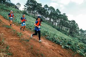 BIB: 
                            <button type="button" onclick="openModal(25301741)" class="btn btn-primary btn-sm float-right btn-popup" data-toggle="modal" data-target=".modal-high-quality">
                        <i class="fas fa-shopping-cart"></i> Add to Cart
                    </button>
                                            <button type="button" onclick="isThisMe(25301741, true)" class="btn btn-success btn-sm float-right btn-popup btn-isme hidden" data-toggle="tooltip" data-placement="bottom" title="นี่คือรูปของคุณใช่ไหม คลิกที่นี่เพื่อเอาเข้าอัลบั้ม">
                        <i class="fas fa-plus"></i> Add to album
                    </button>
                    <button type="button" onclick="isThisMe(25301741, false)" class="btn btn-warning btn-sm float-right btn-popup btn-isnotme hidden">
                        <i class="fas fa-ban"></i> Remove from album
                    </button>