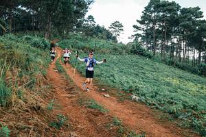 BIB: 
                            <button type="button" onclick="openModal(25323223)" class="btn btn-primary btn-sm float-right btn-popup" data-toggle="modal" data-target=".modal-high-quality">
                        <i class="fas fa-shopping-cart"></i> Add to Cart
                    </button>
                                            <button type="button" onclick="isThisMe(25323223, true)" class="btn btn-success btn-sm float-right btn-popup btn-isme hidden" data-toggle="tooltip" data-placement="bottom" title="นี่คือรูปของคุณใช่ไหม คลิกที่นี่เพื่อเอาเข้าอัลบั้ม">
                        <i class="fas fa-plus"></i> Add to album
                    </button>
                    <button type="button" onclick="isThisMe(25323223, false)" class="btn btn-warning btn-sm float-right btn-popup btn-isnotme hidden">
                        <i class="fas fa-ban"></i> Remove from album
                    </button>