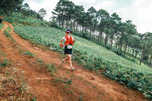 BIB: 
                            <button type="button" onclick="openModal(25298930)" class="btn btn-primary btn-sm float-right btn-popup" data-toggle="modal" data-target=".modal-high-quality">
                        <i class="fas fa-shopping-cart"></i> Add to Cart
                    </button>
                                            <button type="button" onclick="isThisMe(25298930, true)" class="btn btn-success btn-sm float-right btn-popup btn-isme hidden" data-toggle="tooltip" data-placement="bottom" title="นี่คือรูปของคุณใช่ไหม คลิกที่นี่เพื่อเอาเข้าอัลบั้ม">
                        <i class="fas fa-plus"></i> Add to album
                    </button>
                    <button type="button" onclick="isThisMe(25298930, false)" class="btn btn-warning btn-sm float-right btn-popup btn-isnotme hidden">
                        <i class="fas fa-ban"></i> Remove from album
                    </button>