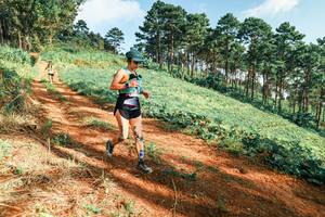 BIB: 
                            <button type="button" onclick="openModal(25291298)" class="btn btn-primary btn-sm float-right btn-popup" data-toggle="modal" data-target=".modal-high-quality">
                        <i class="fas fa-shopping-cart"></i> Add to Cart
                    </button>
                                            <button type="button" onclick="isThisMe(25291298, true)" class="btn btn-success btn-sm float-right btn-popup btn-isme hidden" data-toggle="tooltip" data-placement="bottom" title="นี่คือรูปของคุณใช่ไหม คลิกที่นี่เพื่อเอาเข้าอัลบั้ม">
                        <i class="fas fa-plus"></i> Add to album
                    </button>
                    <button type="button" onclick="isThisMe(25291298, false)" class="btn btn-warning btn-sm float-right btn-popup btn-isnotme hidden">
                        <i class="fas fa-ban"></i> Remove from album
                    </button>