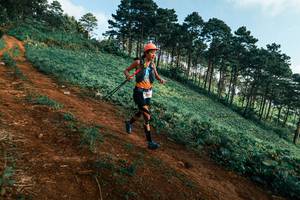 BIB: 
                            <button type="button" onclick="openModal(25290042)" class="btn btn-primary btn-sm float-right btn-popup" data-toggle="modal" data-target=".modal-high-quality">
                        <i class="fas fa-shopping-cart"></i> Add to Cart
                    </button>
                                            <button type="button" onclick="isThisMe(25290042, true)" class="btn btn-success btn-sm float-right btn-popup btn-isme hidden" data-toggle="tooltip" data-placement="bottom" title="นี่คือรูปของคุณใช่ไหม คลิกที่นี่เพื่อเอาเข้าอัลบั้ม">
                        <i class="fas fa-plus"></i> Add to album
                    </button>
                    <button type="button" onclick="isThisMe(25290042, false)" class="btn btn-warning btn-sm float-right btn-popup btn-isnotme hidden">
                        <i class="fas fa-ban"></i> Remove from album
                    </button>