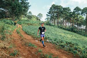 BIB: 
                            <button type="button" onclick="openModal(25289139)" class="btn btn-primary btn-sm float-right btn-popup" data-toggle="modal" data-target=".modal-high-quality">
                        <i class="fas fa-shopping-cart"></i> Add to Cart
                    </button>
                                            <button type="button" onclick="isThisMe(25289139, true)" class="btn btn-success btn-sm float-right btn-popup btn-isme hidden" data-toggle="tooltip" data-placement="bottom" title="นี่คือรูปของคุณใช่ไหม คลิกที่นี่เพื่อเอาเข้าอัลบั้ม">
                        <i class="fas fa-plus"></i> Add to album
                    </button>
                    <button type="button" onclick="isThisMe(25289139, false)" class="btn btn-warning btn-sm float-right btn-popup btn-isnotme hidden">
                        <i class="fas fa-ban"></i> Remove from album
                    </button>