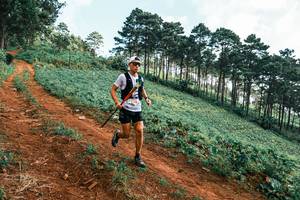 BIB: 
                            <button type="button" onclick="openModal(25287960)" class="btn btn-primary btn-sm float-right btn-popup" data-toggle="modal" data-target=".modal-high-quality">
                        <i class="fas fa-shopping-cart"></i> Add to Cart
                    </button>
                                            <button type="button" onclick="isThisMe(25287960, true)" class="btn btn-success btn-sm float-right btn-popup btn-isme hidden" data-toggle="tooltip" data-placement="bottom" title="นี่คือรูปของคุณใช่ไหม คลิกที่นี่เพื่อเอาเข้าอัลบั้ม">
                        <i class="fas fa-plus"></i> Add to album
                    </button>
                    <button type="button" onclick="isThisMe(25287960, false)" class="btn btn-warning btn-sm float-right btn-popup btn-isnotme hidden">
                        <i class="fas fa-ban"></i> Remove from album
                    </button>