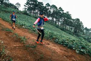 BIB: 
                            <button type="button" onclick="openModal(25323184)" class="btn btn-primary btn-sm float-right btn-popup" data-toggle="modal" data-target=".modal-high-quality">
                        <i class="fas fa-shopping-cart"></i> Add to Cart
                    </button>
                                            <button type="button" onclick="isThisMe(25323184, true)" class="btn btn-success btn-sm float-right btn-popup btn-isme hidden" data-toggle="tooltip" data-placement="bottom" title="นี่คือรูปของคุณใช่ไหม คลิกที่นี่เพื่อเอาเข้าอัลบั้ม">
                        <i class="fas fa-plus"></i> Add to album
                    </button>
                    <button type="button" onclick="isThisMe(25323184, false)" class="btn btn-warning btn-sm float-right btn-popup btn-isnotme hidden">
                        <i class="fas fa-ban"></i> Remove from album
                    </button>